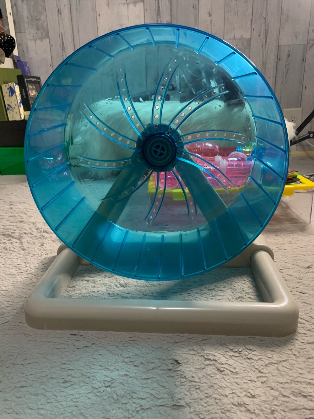 Blue Plastic Exercise Wheel for Small Pets - Brand Unspecified